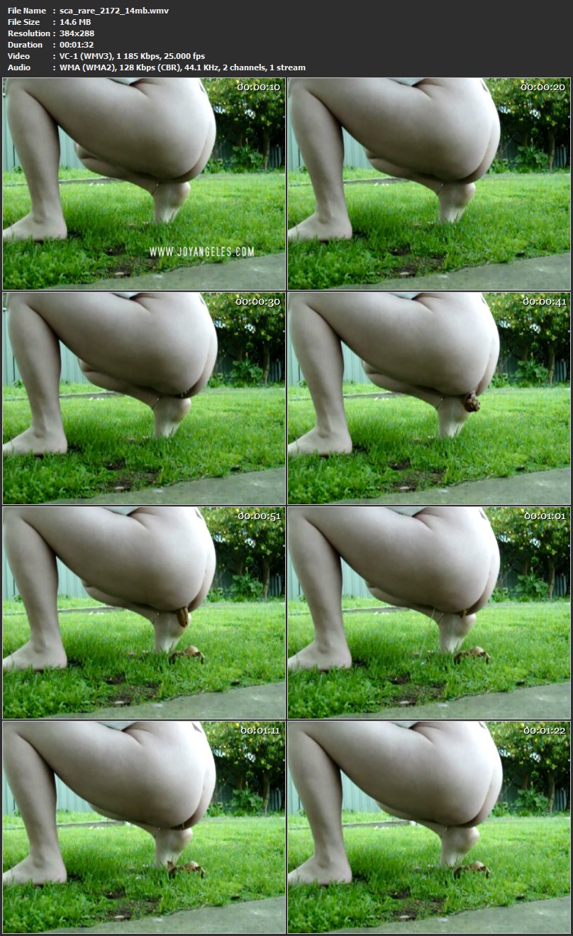 sca_rare_2172_14mb.wmv.jpg